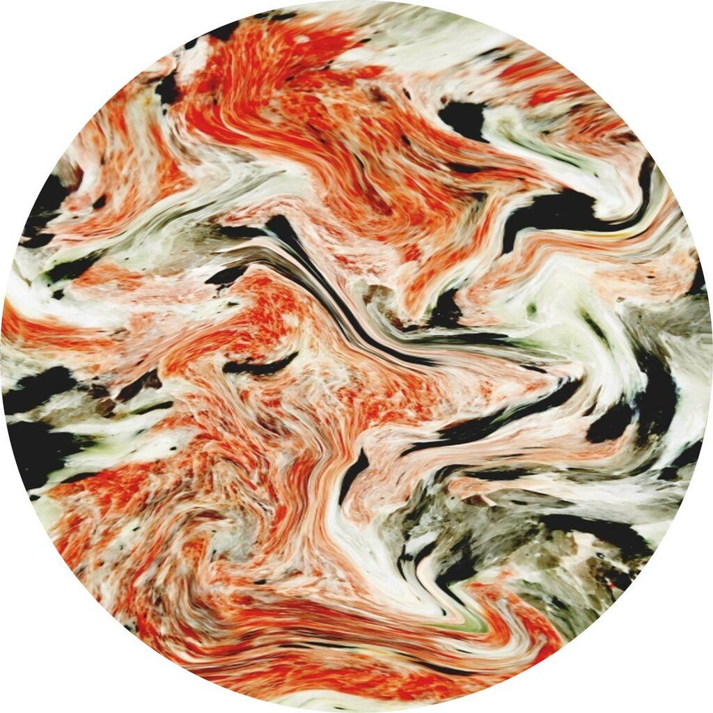 Conceptum Hypnose Carpet CT-2094 Y, 80 cm, Шарена