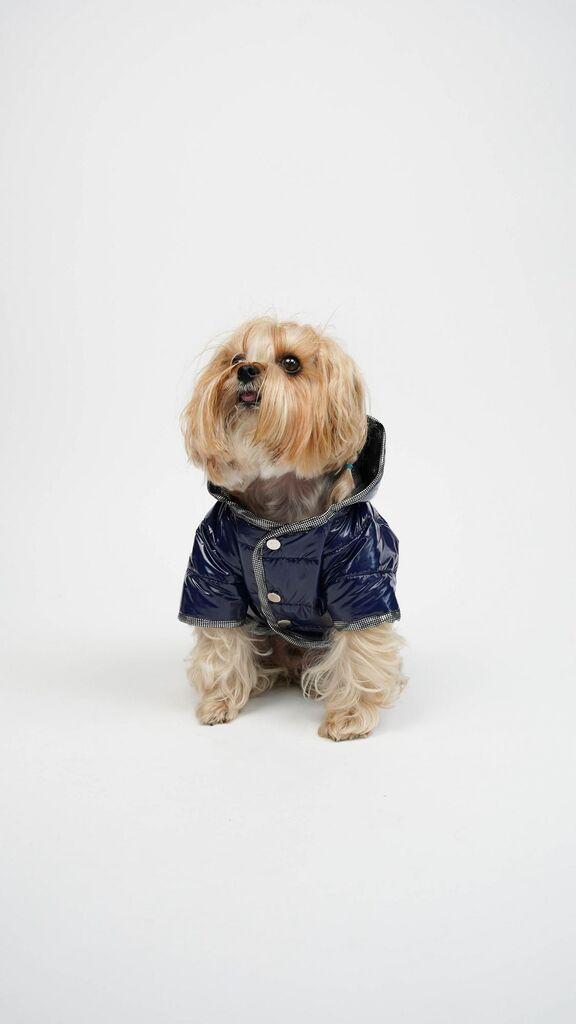Костум за кучиња Moncler Paws & Whiskers, индиго