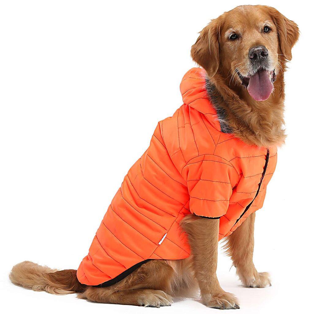 Костум за кучиња со шепи и мустаќи, портокалова боја