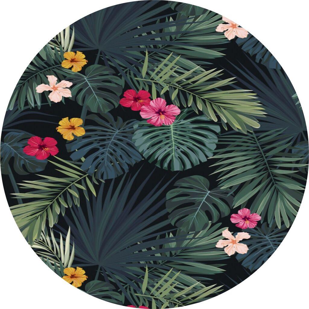 Conceptum Hypnose тепих CT-2141 Y, 80 cm, Шарена