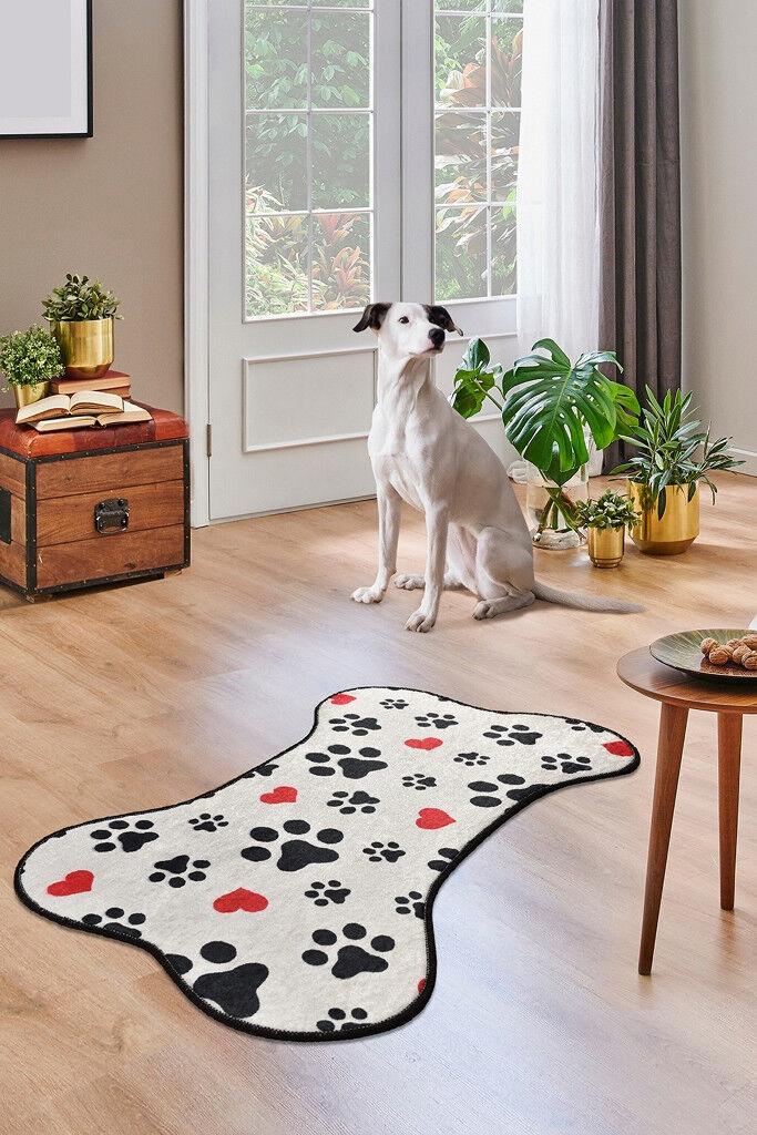 Conceptum Hypnose Carpet Perro, 60 x 100cm, Шарена