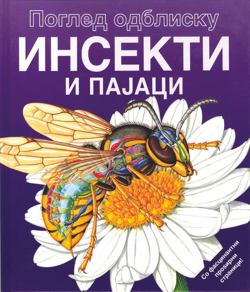 Инсекти и Пајаци - Поглед Одблиску