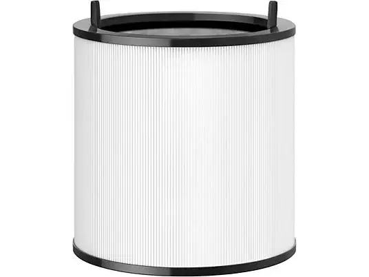 Dyson 360° Glass HEPA Filter