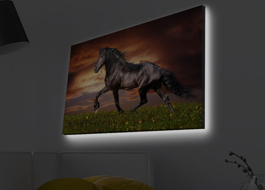 Слика „Волити" на платно со LED осветлување 45x70 см
