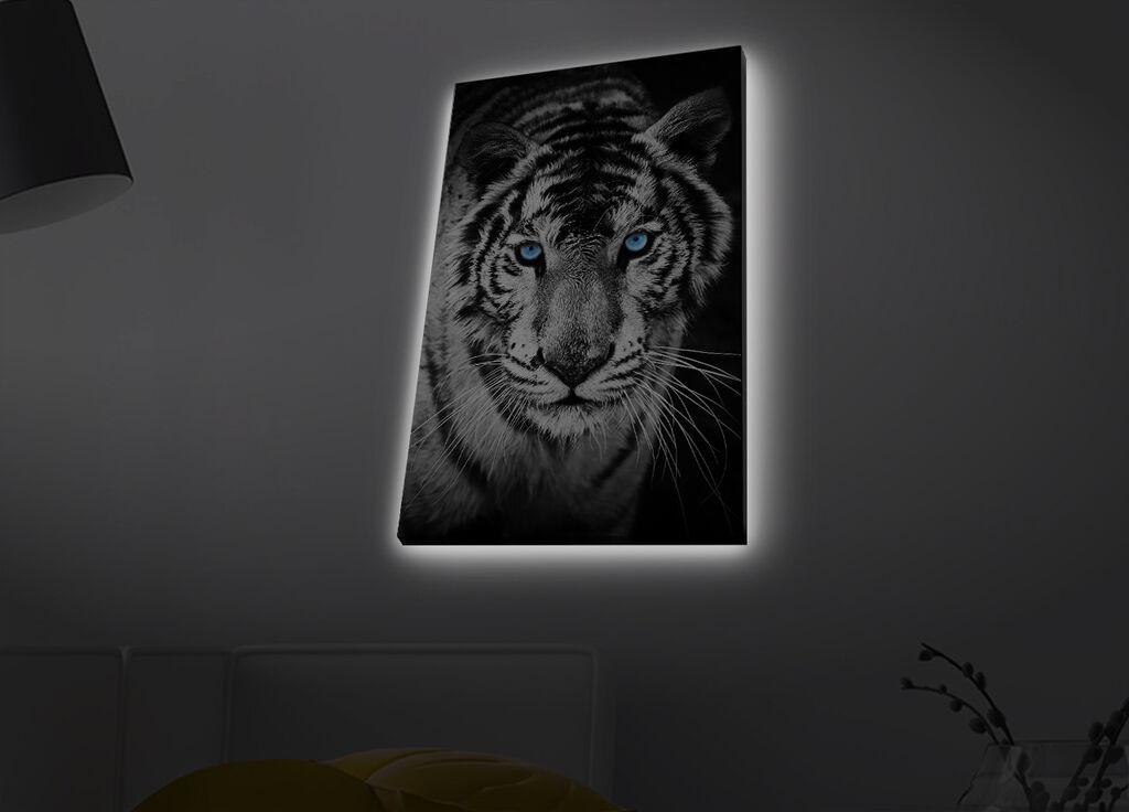 Слика „Волити" на платно со LED осветлување 45x70 см