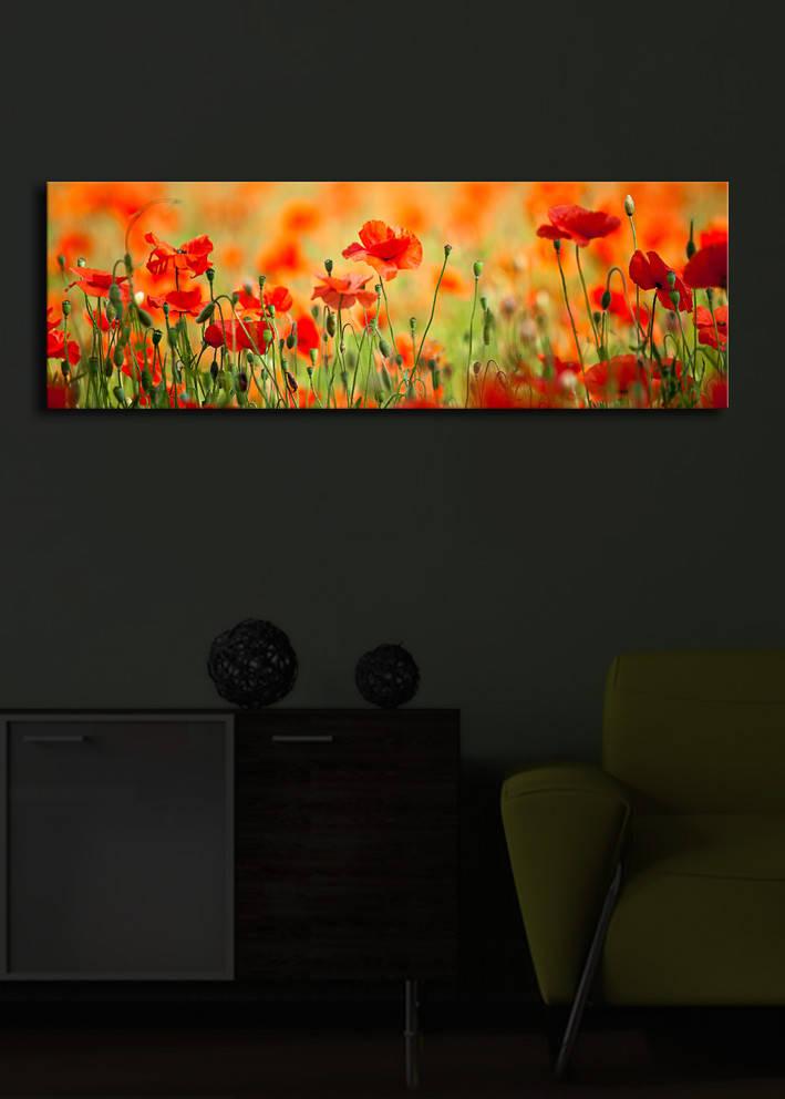 Слика „Волити" на платно со LED осветлување 30x90 см
