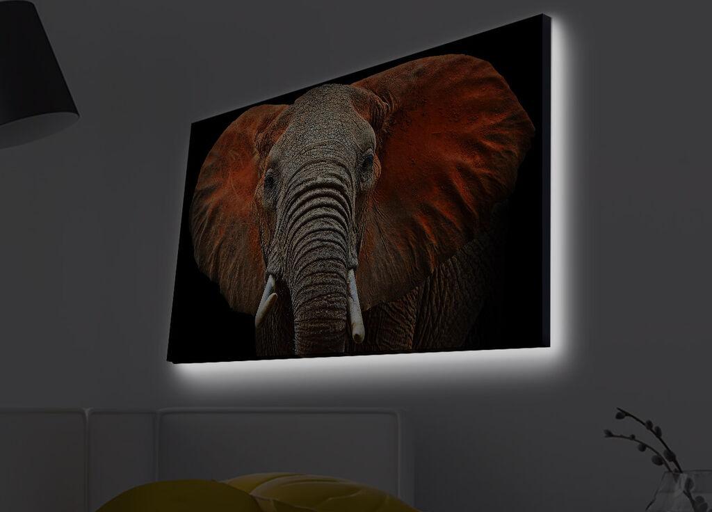 Слика „Волити" на платно со LED осветлување 45x70 см