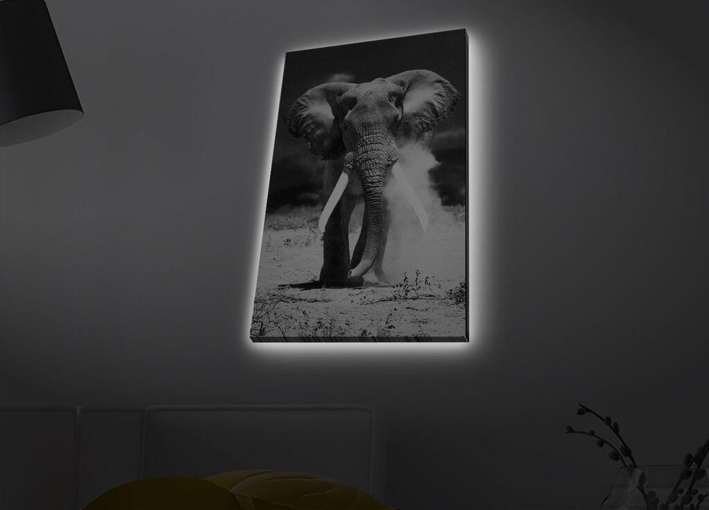 Слика „Волити" на платно со LED осветлување 45x70 см