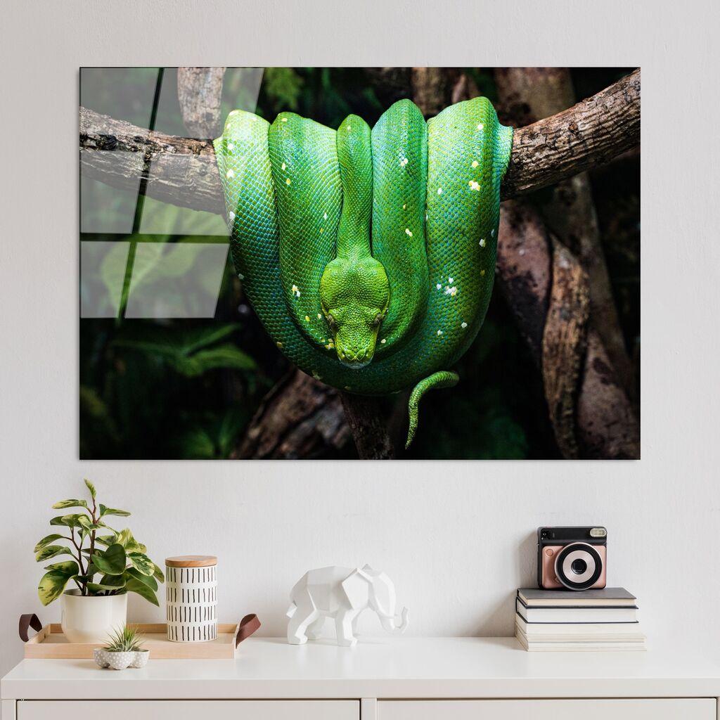 Слика Wallity UV-151, 70 x 100 см
