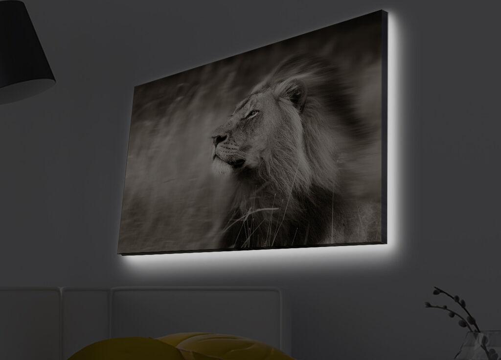 Слика „Волити" на платно со LED осветлување 45x70 см