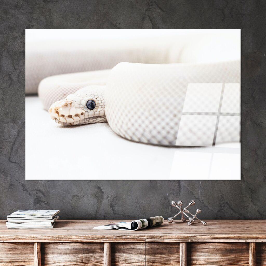 Слика Wallity UV-153, 70 x 100 см