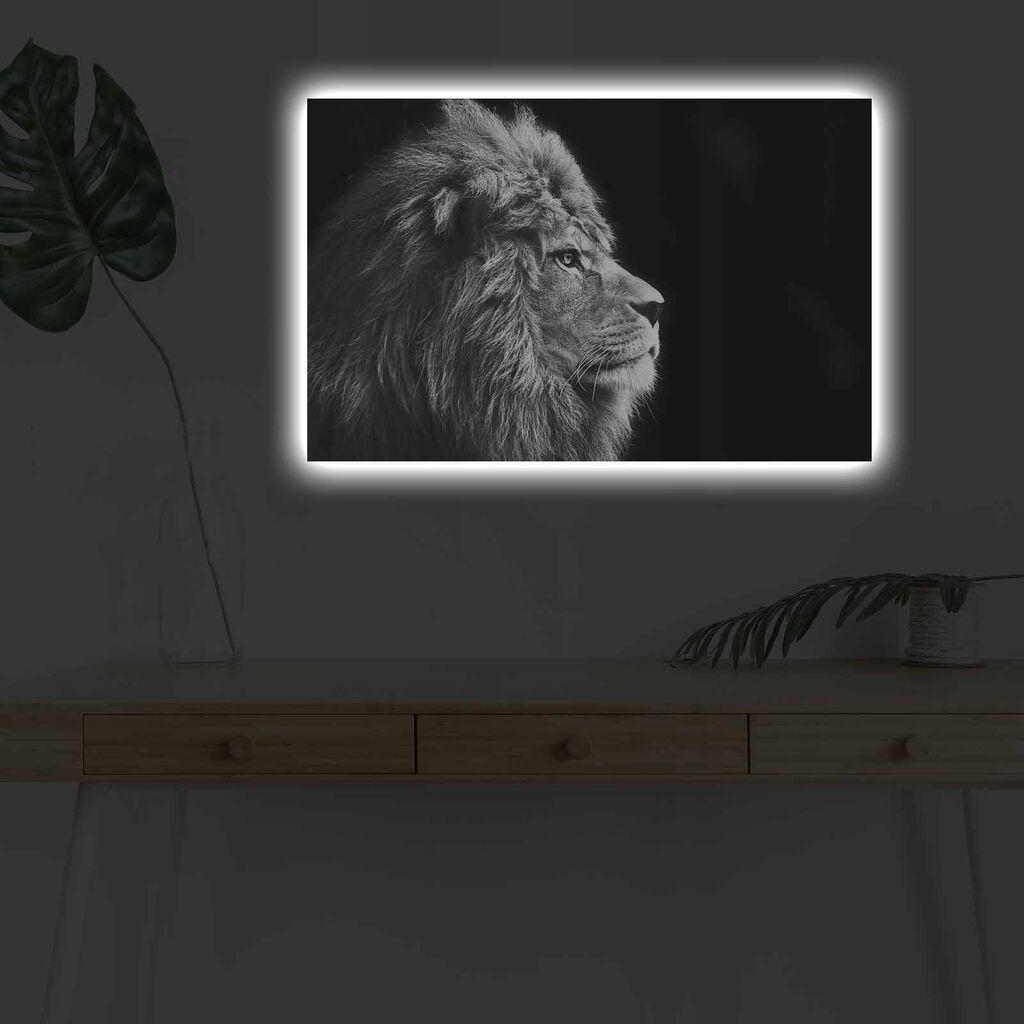 Слика „Волити" на платно со LED осветлување 45x70 см