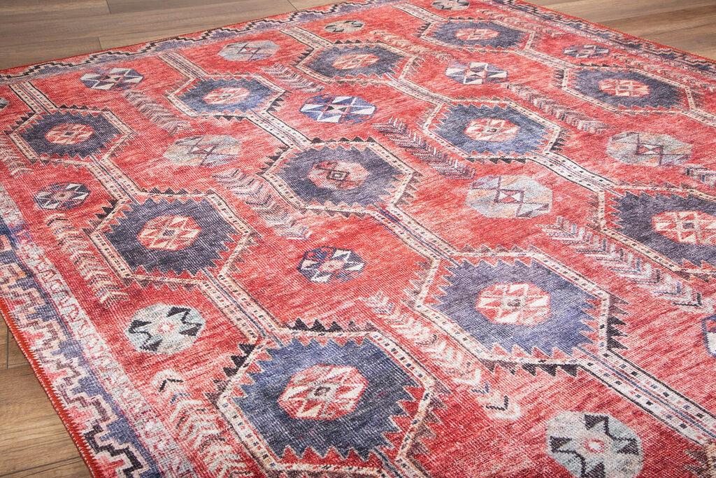 Conceptum Hypnose тепих 150x230cm Шарена