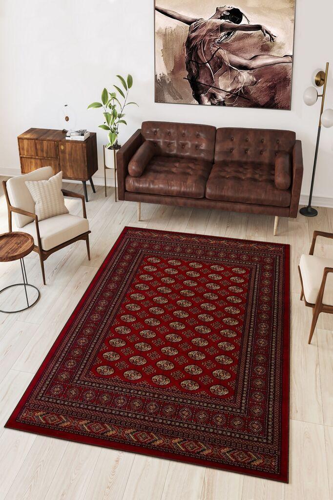 Conceptum Hypnose тепих W1122, 80x120cm, Шарена