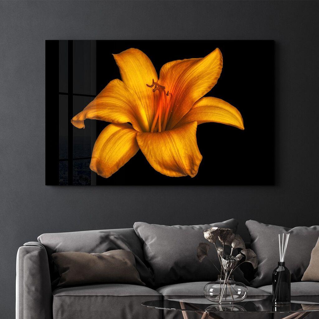Wallity Image CAM-5025, 70x110 см