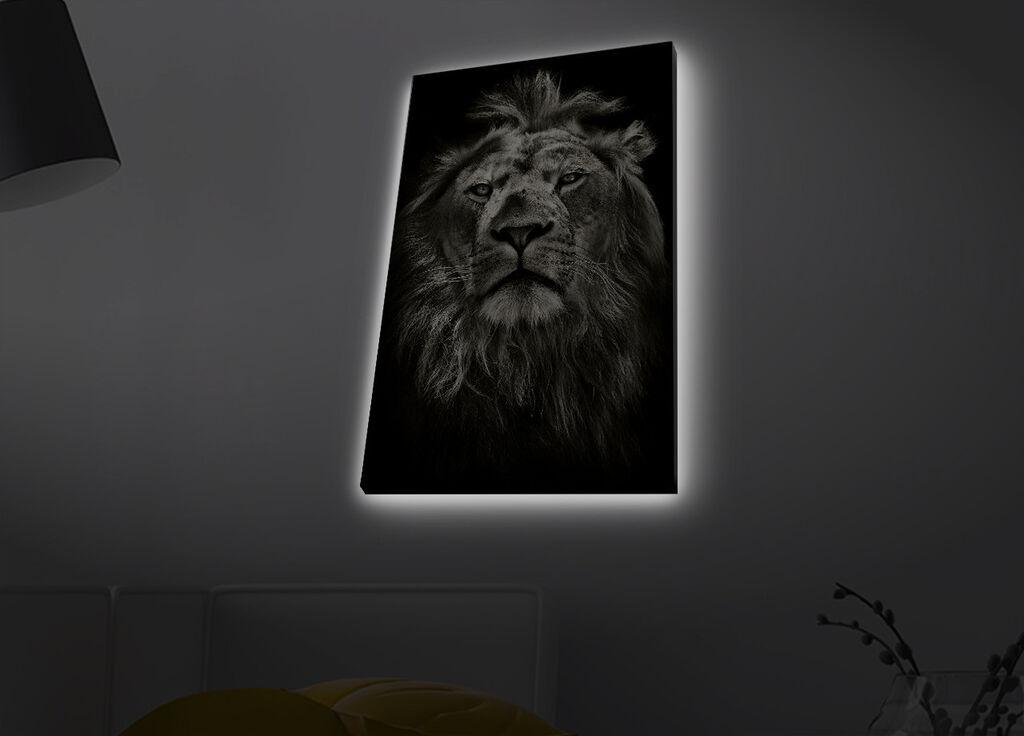 Слика „Волити" на платно со LED осветлување 45x70 см