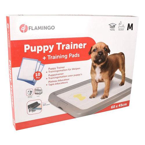 FLAMINGO Папи Тренинг сет Пвц 60х45см. + пелени ФИФИ