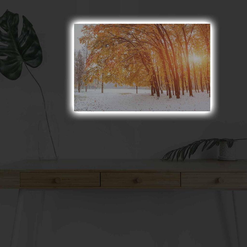 Wallity Слика BOYA-48, 45x45 cm
