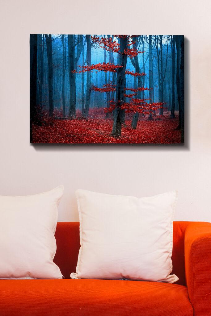 Wallity Сет Слики MDF173842874, 3 Дела