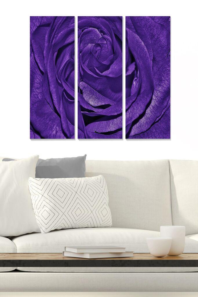 Wallity Слика WY293, 50x70 cm