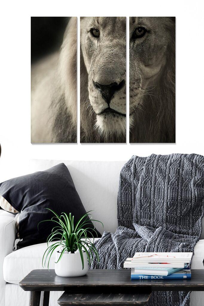 Wallity Слика YTY788513056_50120, 50x120 cm