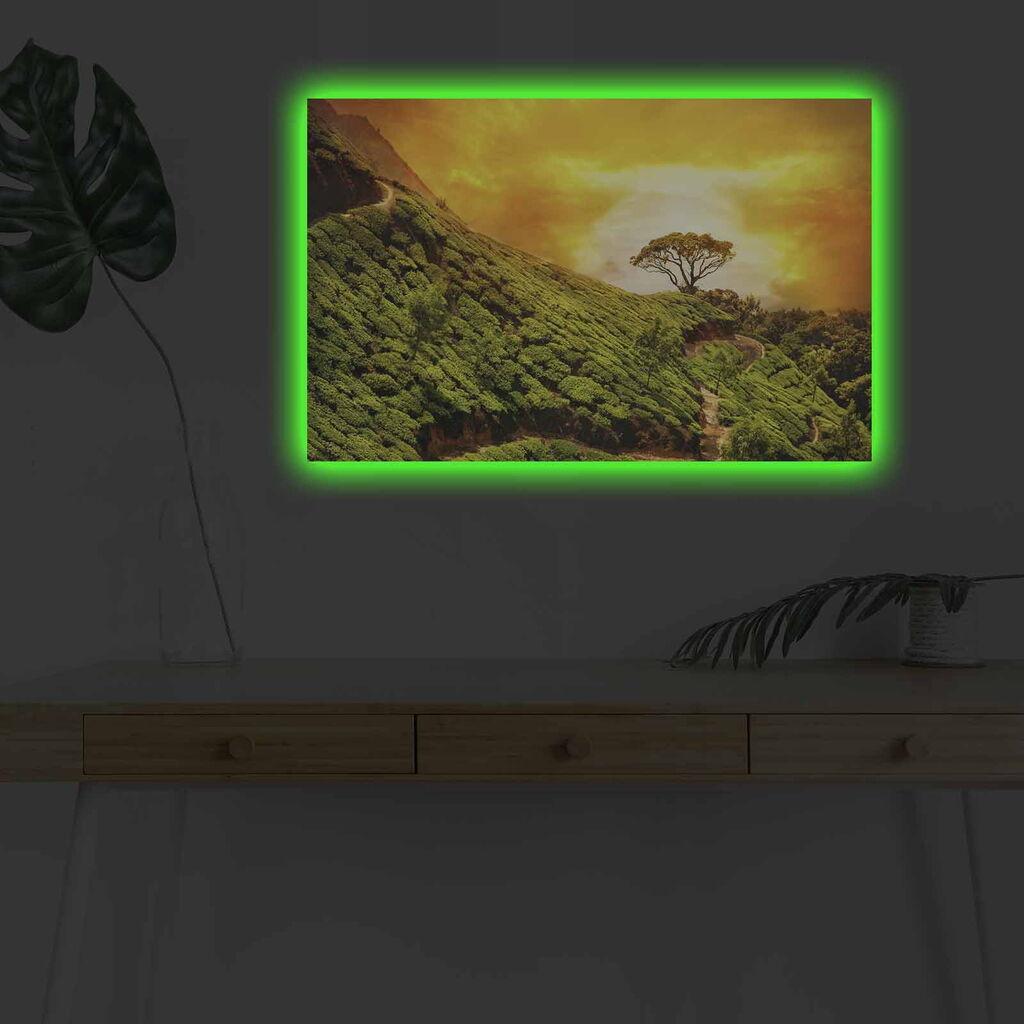 Wallity Слика BOYA-44, 45x45 cm