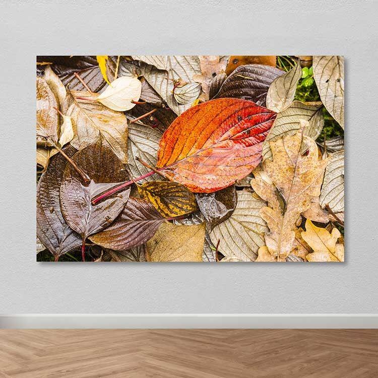 Wallity Слика DKY51393502138_50120, 50x120 cm