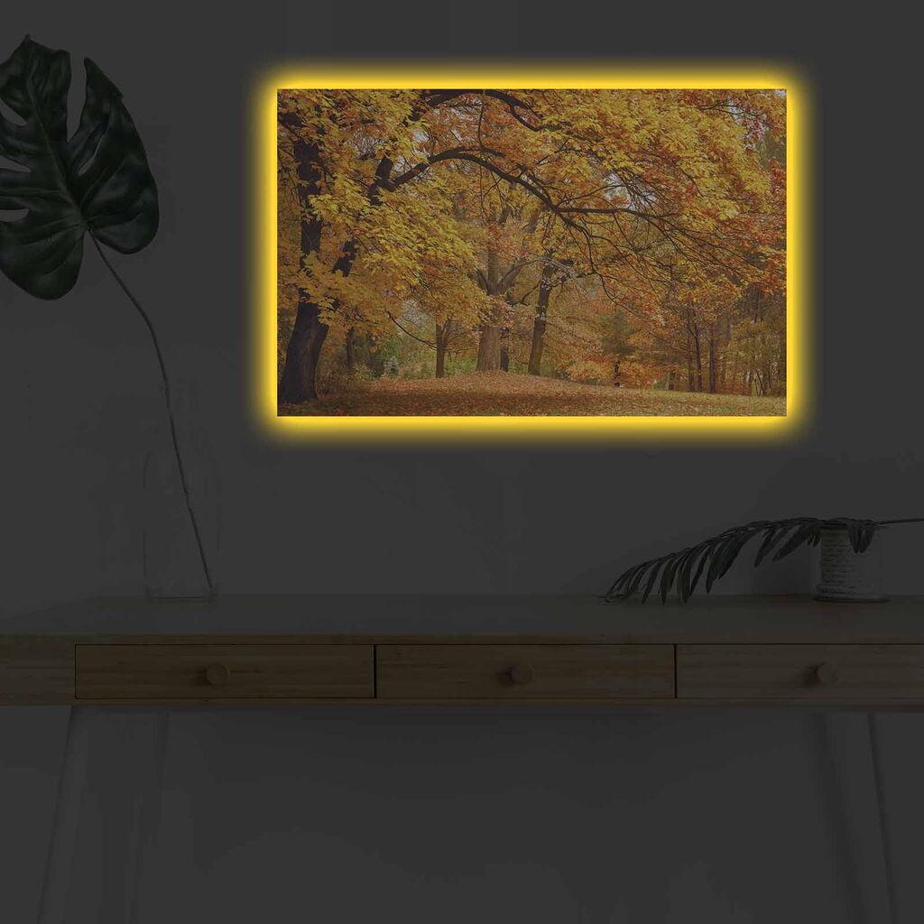 Wallity Слика BOYA-35, 45x45 cm