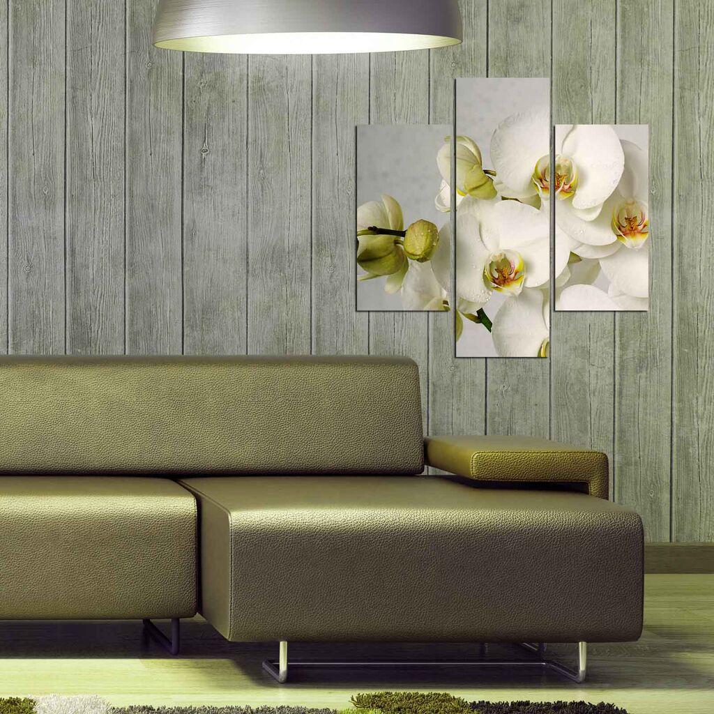 Wallity Сет Слики 5ABSMDF-36, 5 Делови
