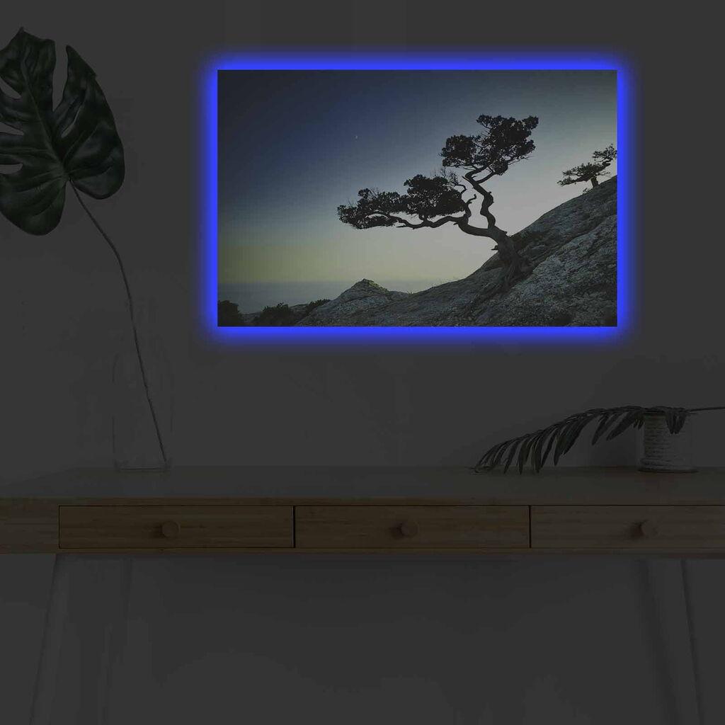 Wallity Слика BOYA-67, 45x45 cm