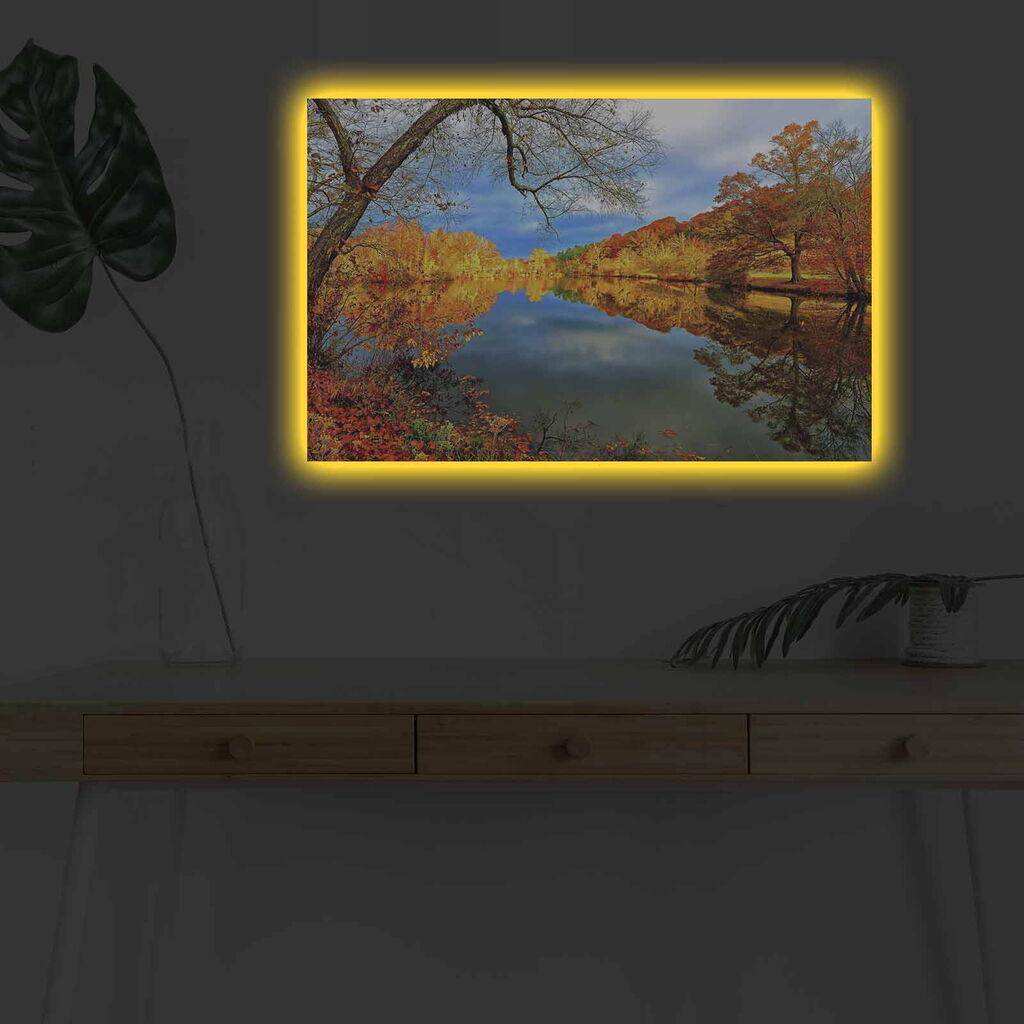 Wallity Слика со LED Осветлување Banksy Free, 44x66 cm