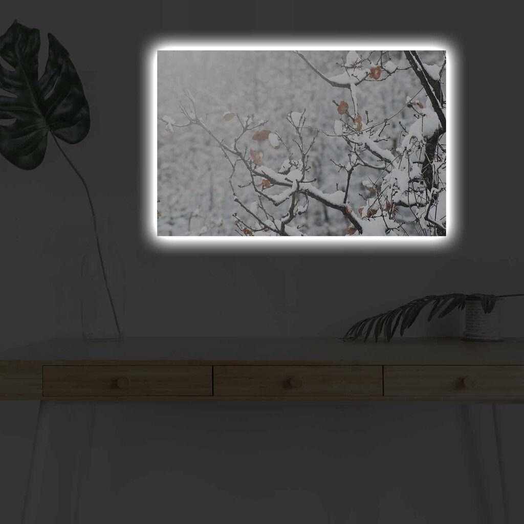 Wallity Слика BOYA-04, 45x45 cm