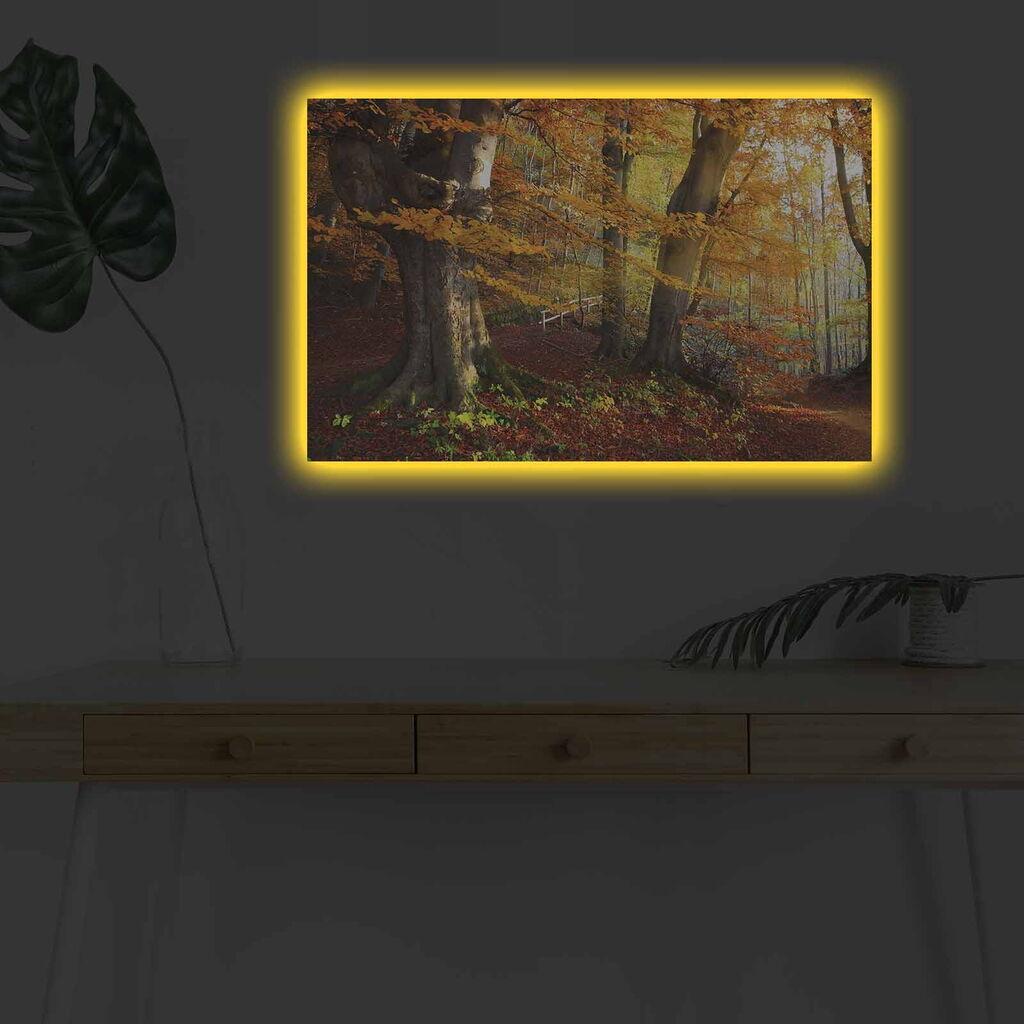 Wallity Слика BOYA-64, 45x45 cm