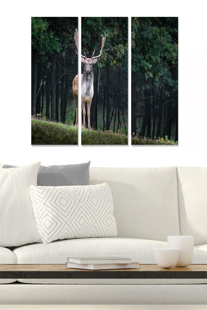 Wallity Сет Слики MDF984573, 3 Дела