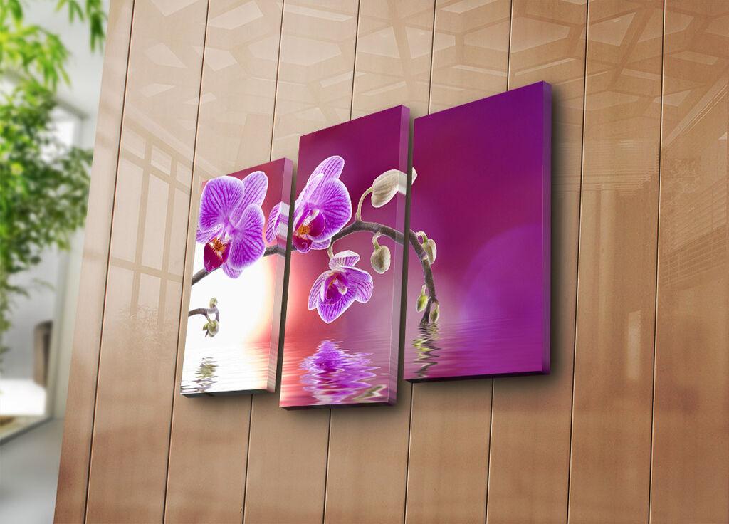 Wallity Декоративни слики на платно, 45x20 см, 3 парчиња, шарени