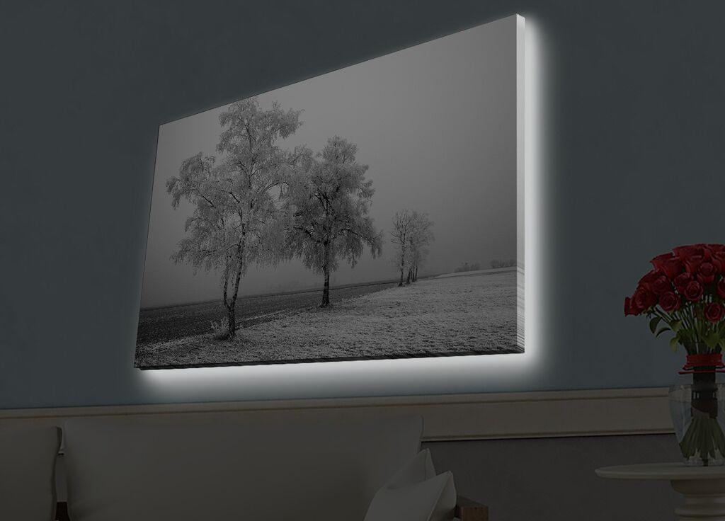 Wallity Слика DEV02103100140, 100x140 cm