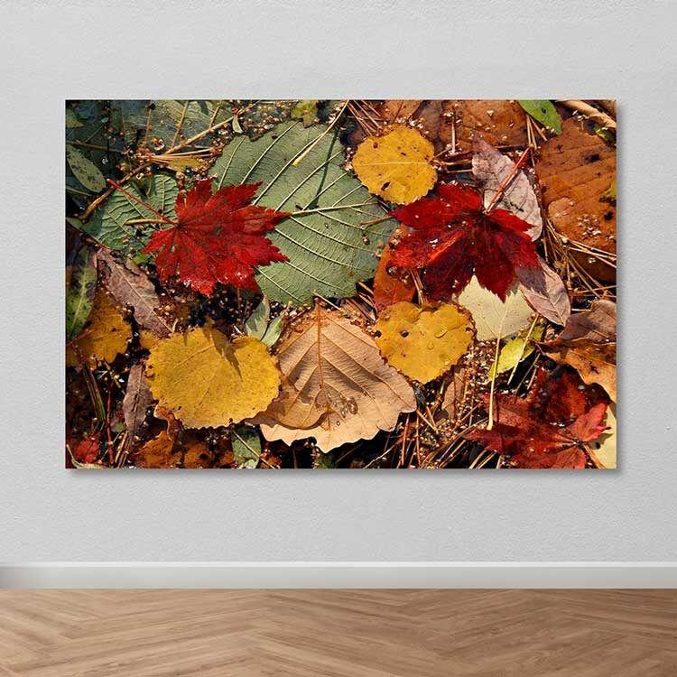 Wallity Сет Слики MDF3161142, 3 Дела