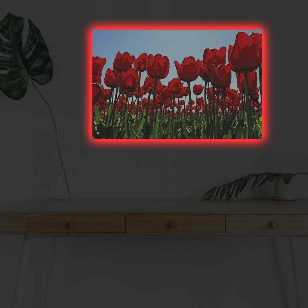 Wallity Слика BOYA-07, 45x45 cm