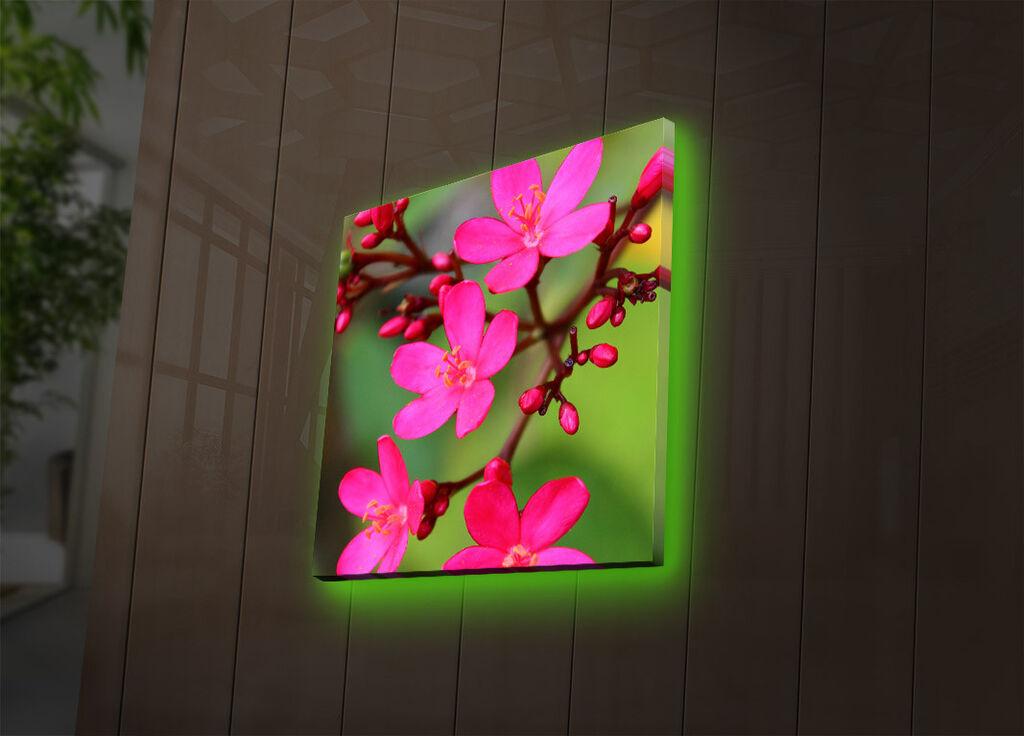 Wallity Слика 529TCR2164, 50x70 cm