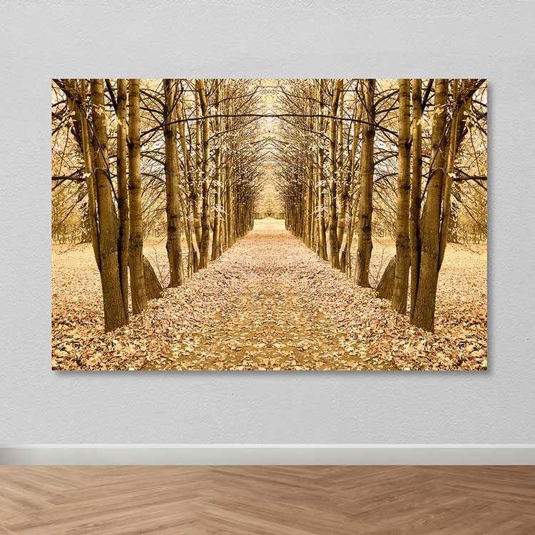 Wallity Сет Слики MDF3137281, 3 Дела