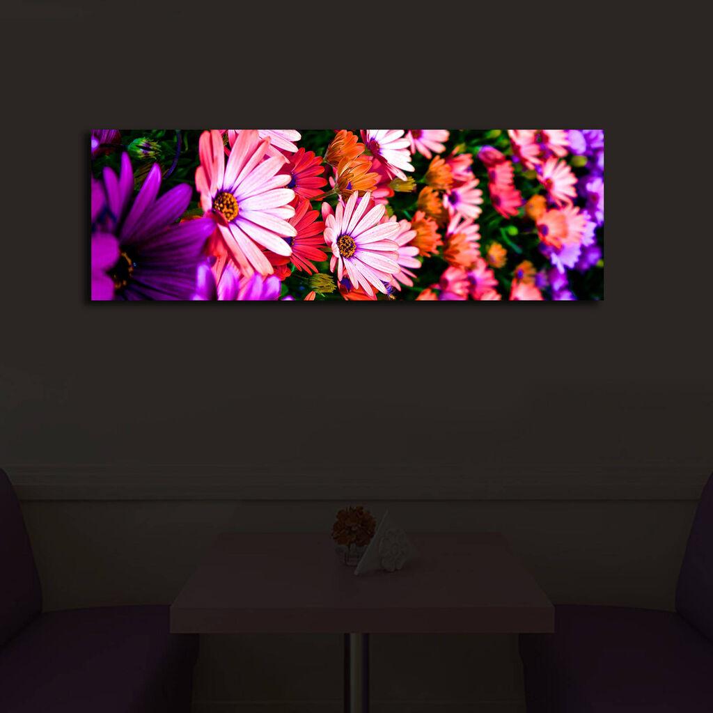 Wallity Слика со LED Осветлување 4570DHDACT-047, 45x70 cm