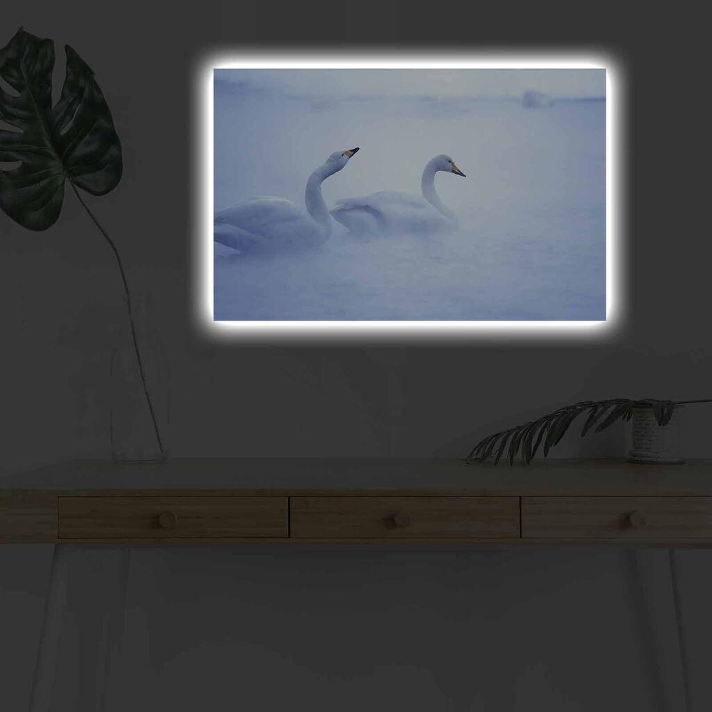 Wallity Слика BOYA-78, 45x45 cm