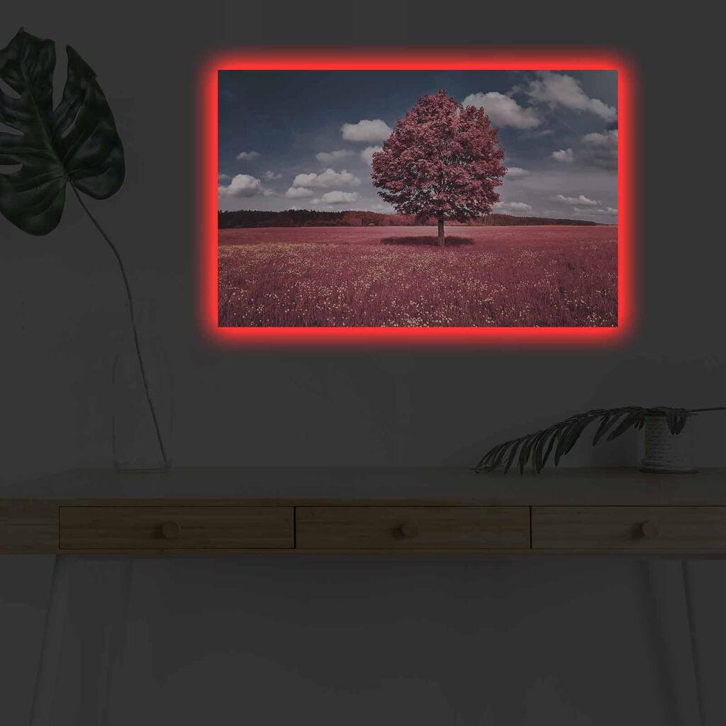 Wallity Слика со LED Осветлување Banksy Curious Boy, 66x99 cm