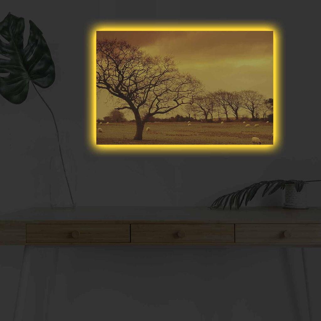 Wallity Слика BOYA-13, 45x45 cm