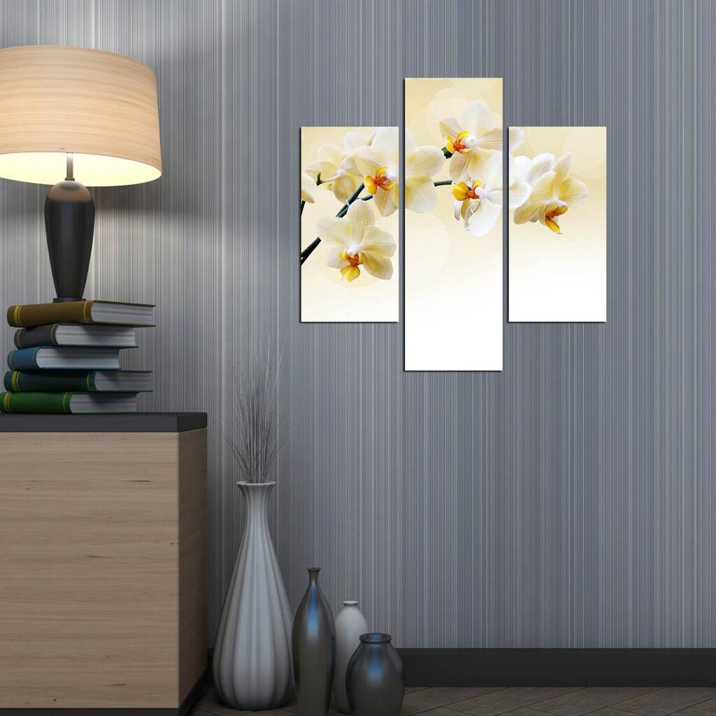 Wallity Сет Слики 5ABSMDF-23, 5 Делови