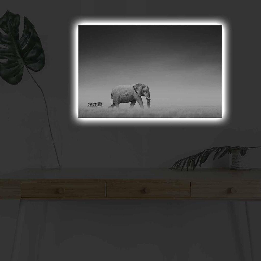 Wallity Слика BOYA-38, 45x45 cm