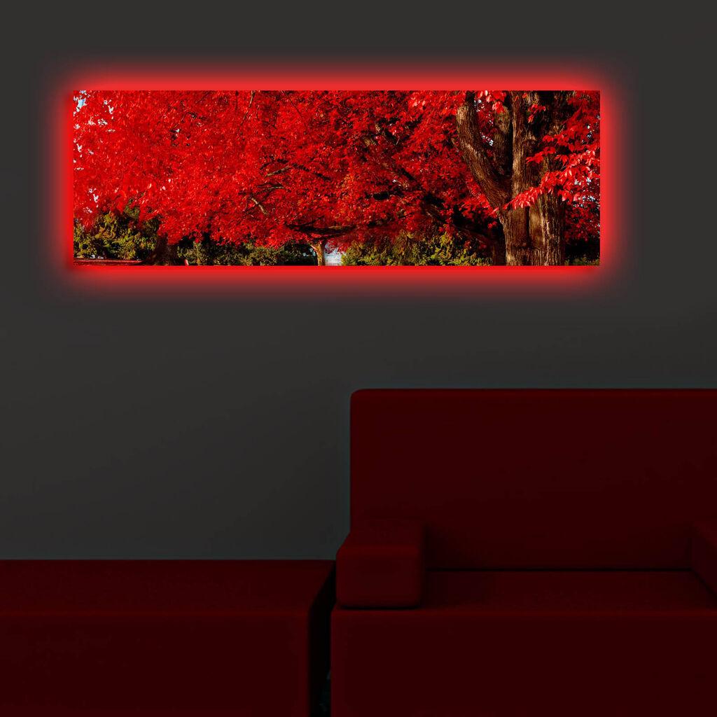 Wallity Слика со LED Осветлување 4570DACT-74, 45x70 cm