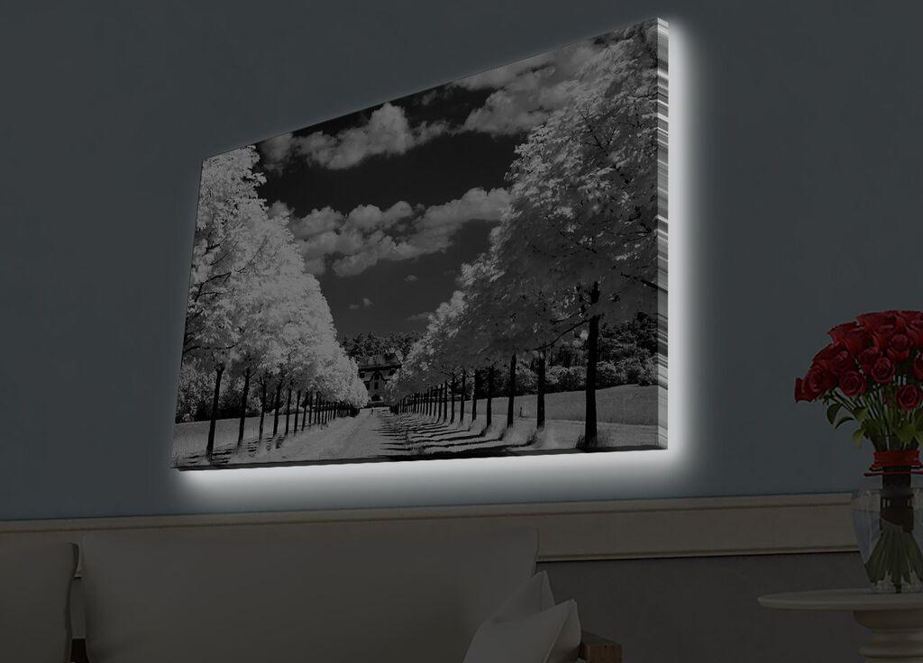 Wallity Слика DEV02101100140, 100x140 cm