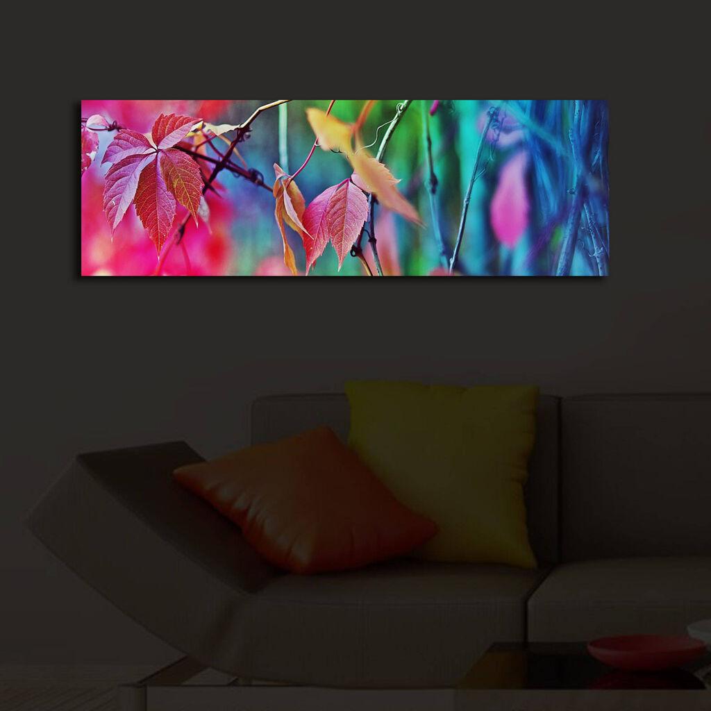 Wallity Слика со LED Осветлување 4570DHDACT-050, 45x70 cm