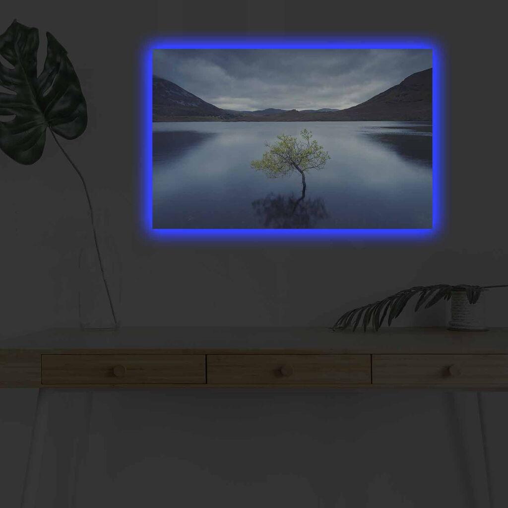 Wallity Слика со LED Осветлување Banksy Free, 44x66 cm